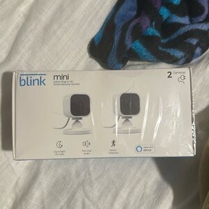 2 mini blink cameras